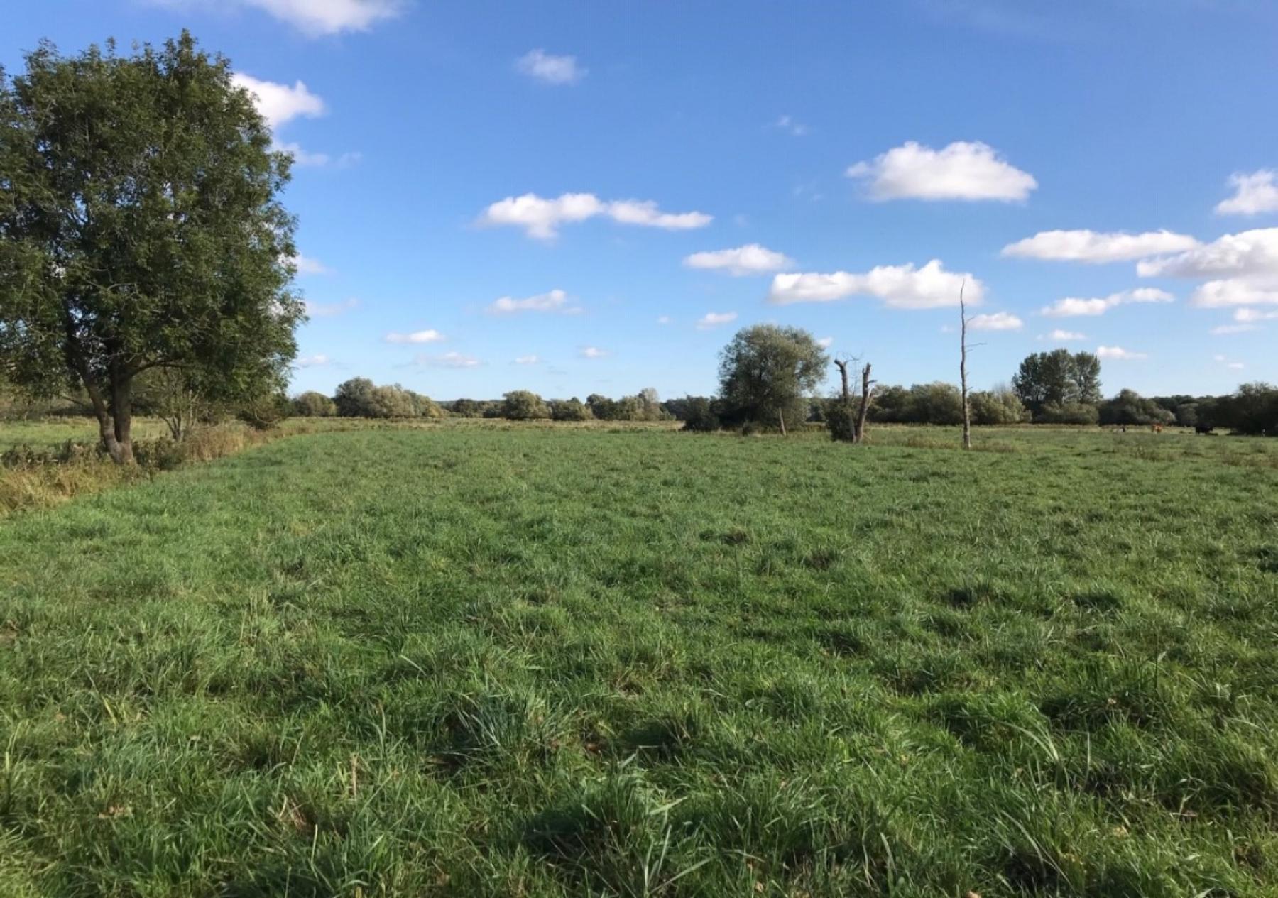 Lot No 2 0.400ha (0.99ac) of Land at Low Road, Wortwell Land