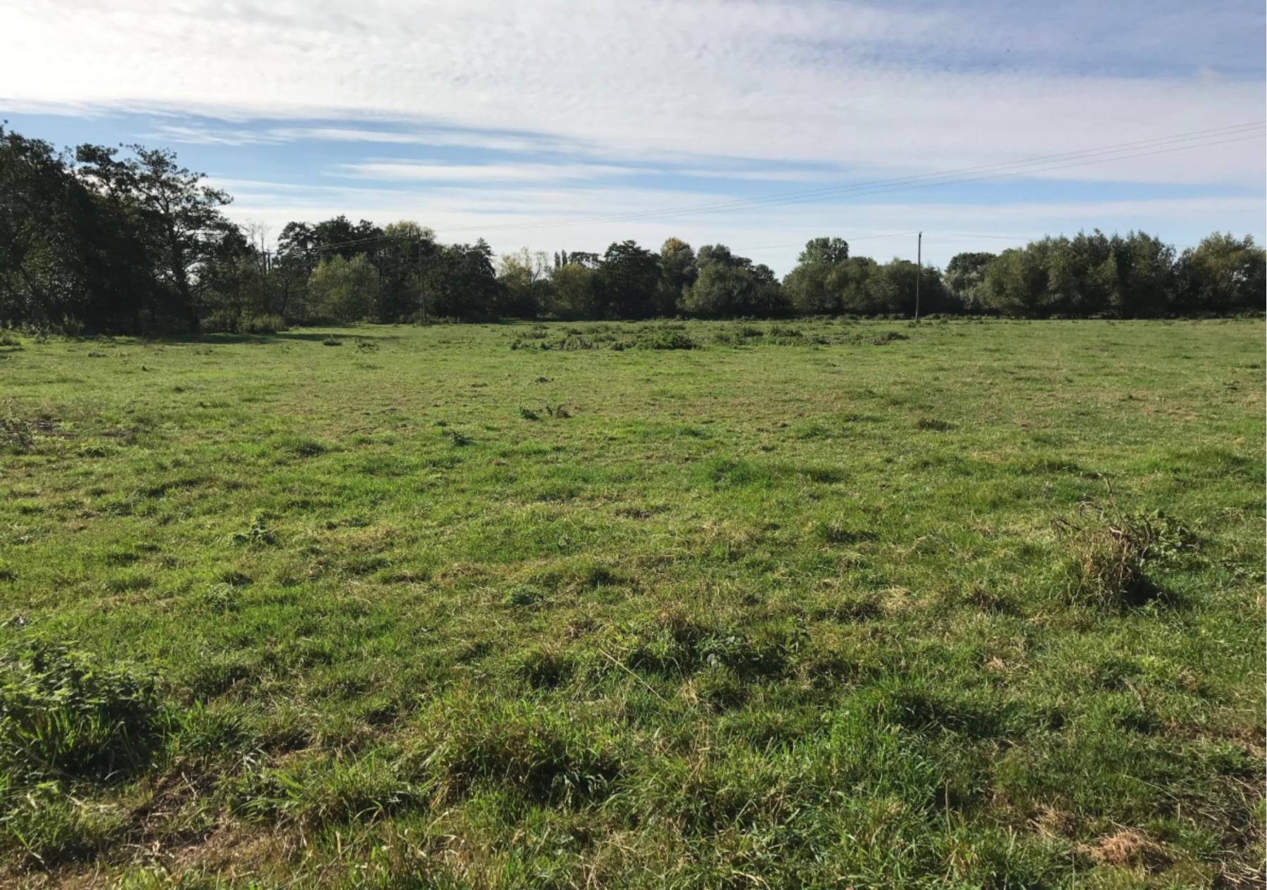 Lot No 4 1.752ha (4.33ac) of Land off Wells' Lane, Needham Land