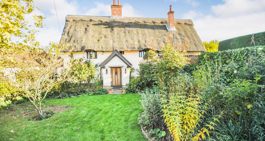 TW Gaze The Complete Service