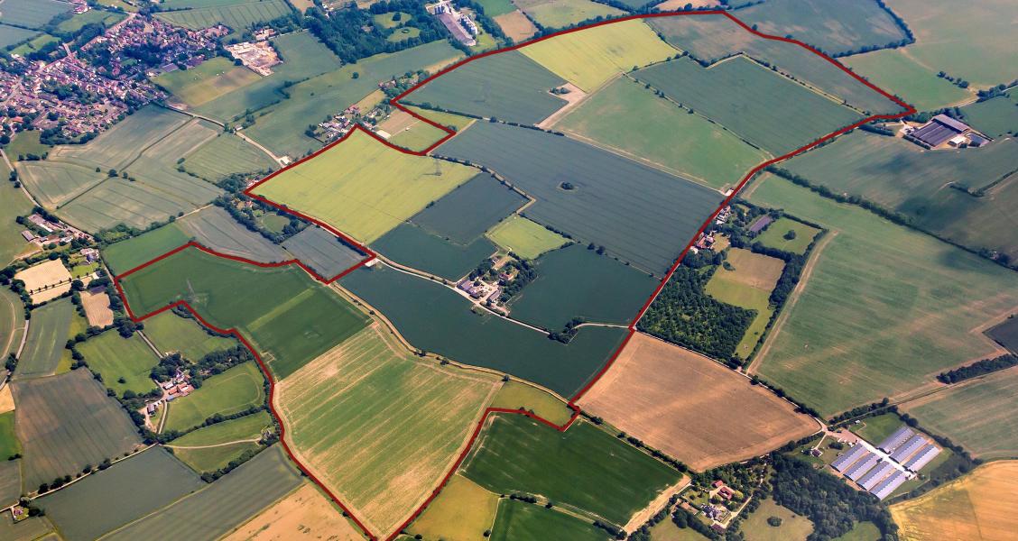 TW Gaze The Complete Service