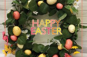 490857976 1336305827608801 4753682263746401833 n2