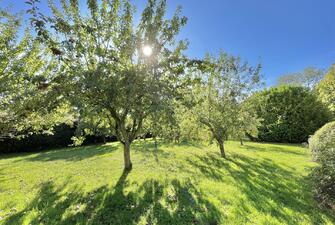 1mjvzIZXrkGbg4Pv ifUYg