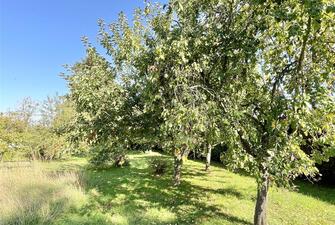 ifkoi Oyh0iXDAVF8ZBYFg