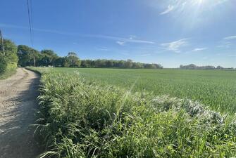 OcbFIvLQm0mBfb9jbK0P9Q