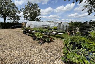 DFlJJFcrok69PmxMWi76wQ