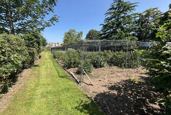 o8VZlqbHkkmXIEJTAWvs2Q