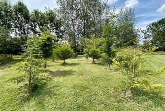 bOFOaxNW6EuKW9y4dqavFQ