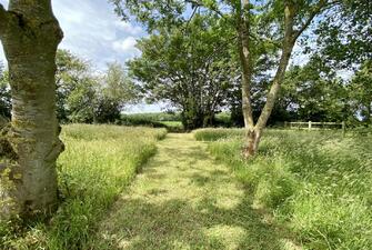 hjhakQXkSEiOHpJJxbX pQ