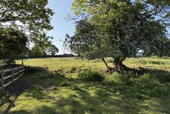 hhH1rN1rYkuOq bYlSH8uA