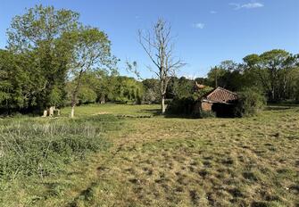 yO9JhcqveE6oRDzGYe9Wow