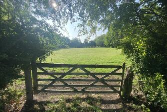 S0T9pzJCSU67qoG90oPTtw