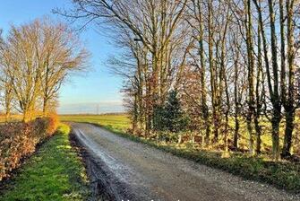 xIIEbXdyxS2fGszfTPN2TTzgRLM