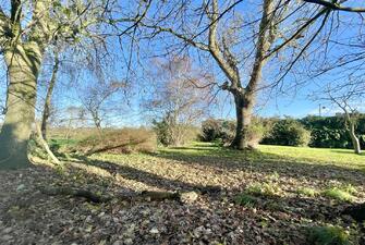 1seBViQ7PE2YjxLiTy1ZZw