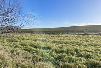 Od2GQ0IENk2LrNjmqy Yxw