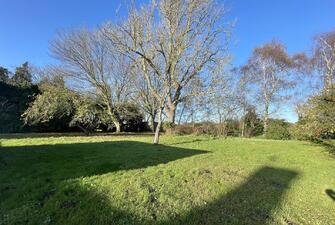 nbELlzmNTki9RArfLjwfdg