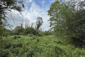 eWmfxFve1EGUmUu6b3YYLQ