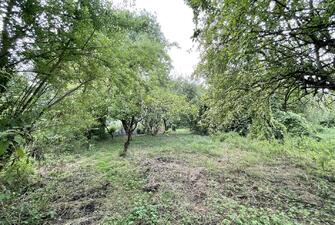 zov80DUED0i 8feB6j58DQ