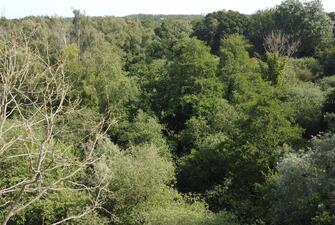 023kFDziHkK0cMBz4AmeiQ