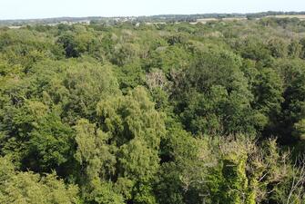 CKXSjRaC1U2 pLrGrpwJTg