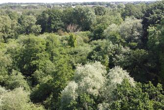 TXJFt7ed7kSh2lBwcNa41A