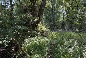 V9ABfAWv6EevKEllr5Cwlw