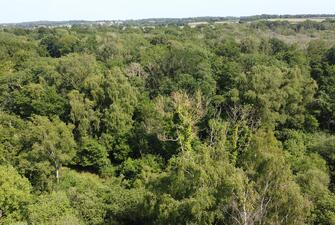 nuxZ1jcIG0S151SPu4dTSQ