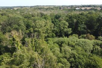 viwu8awcNEGh7PdGP29EWg