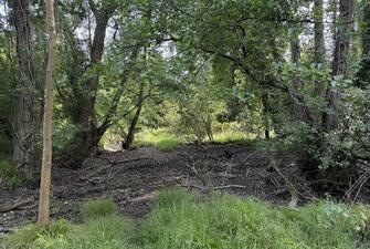 yzpWSB rBkaZmtmCuQbfVA