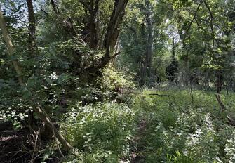 V9ABfAWv6EevKEllr5Cwlw