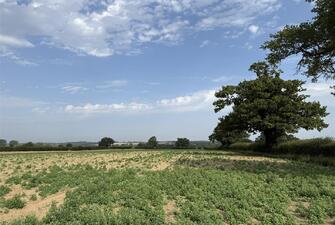 AYmLHcLq0Eq5iU1Z1dT2QA