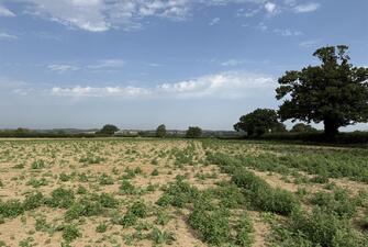 TAJ0P4Y1A0CxOApT9Jf6Sw