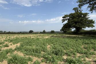 TNjXzNOtHkixkieQ2oHMhA