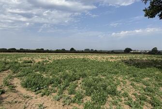 doAr7yn4n0yn31Atrt8Q9g