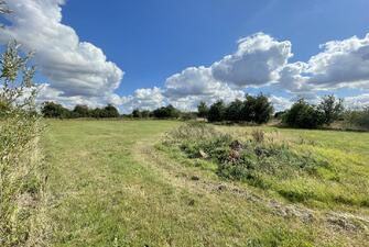 5Wl1uL56WkmPV9EY13QLBQ