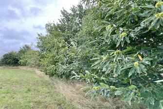 5wy0K9rMNUCNIjqFqDUsRw