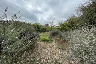 pVO4qPBFRUmslMGvEw0OTA