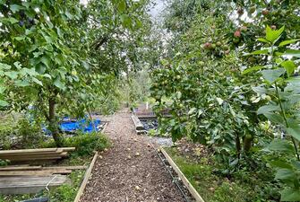 VYvsg35KKkWUU8TCr5lN6Q