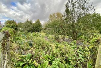 u zirYW7Ike2qzH 8LJNtw