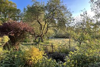 nTWUz2LvjkSiJ2zMnaHUtg