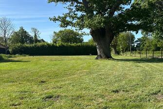 ARNF3mRg2kCwQ51O wUUdA