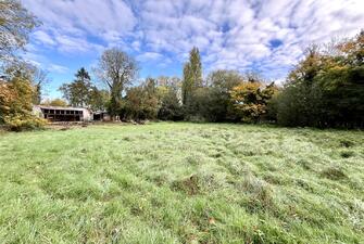 kgzb8Fm4OUay32OjRc4gmg