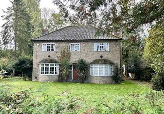 zesalaGYqUaP6uYuInvT7g