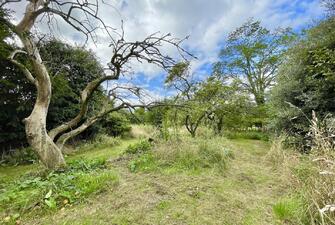 5xHH9 rW0amI5vBK0wf A