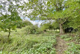 C1cOPgAS 0eOigek1KB55Q