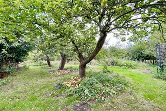 FsT8 eXwvECJu7MlZIT01Q