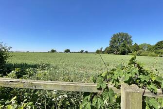 0dRgiwkkN02yjlkS9jnJ5A