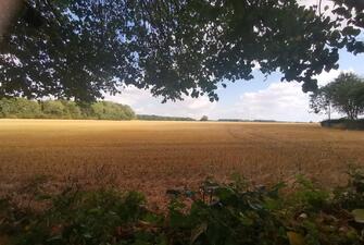 t4Kjo5GqNECJ7Q1VW7 9Gw