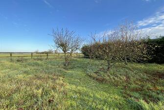 29L6W5kU5kK0REav9a7a9A