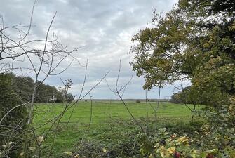 DBnBnmVyYUqjB2pKOGgiEg