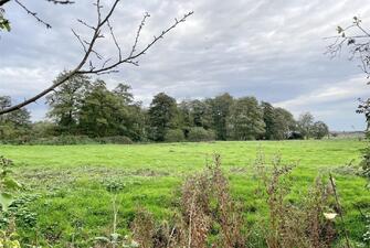 UqNJEQq41EekzD2 mbD4UA